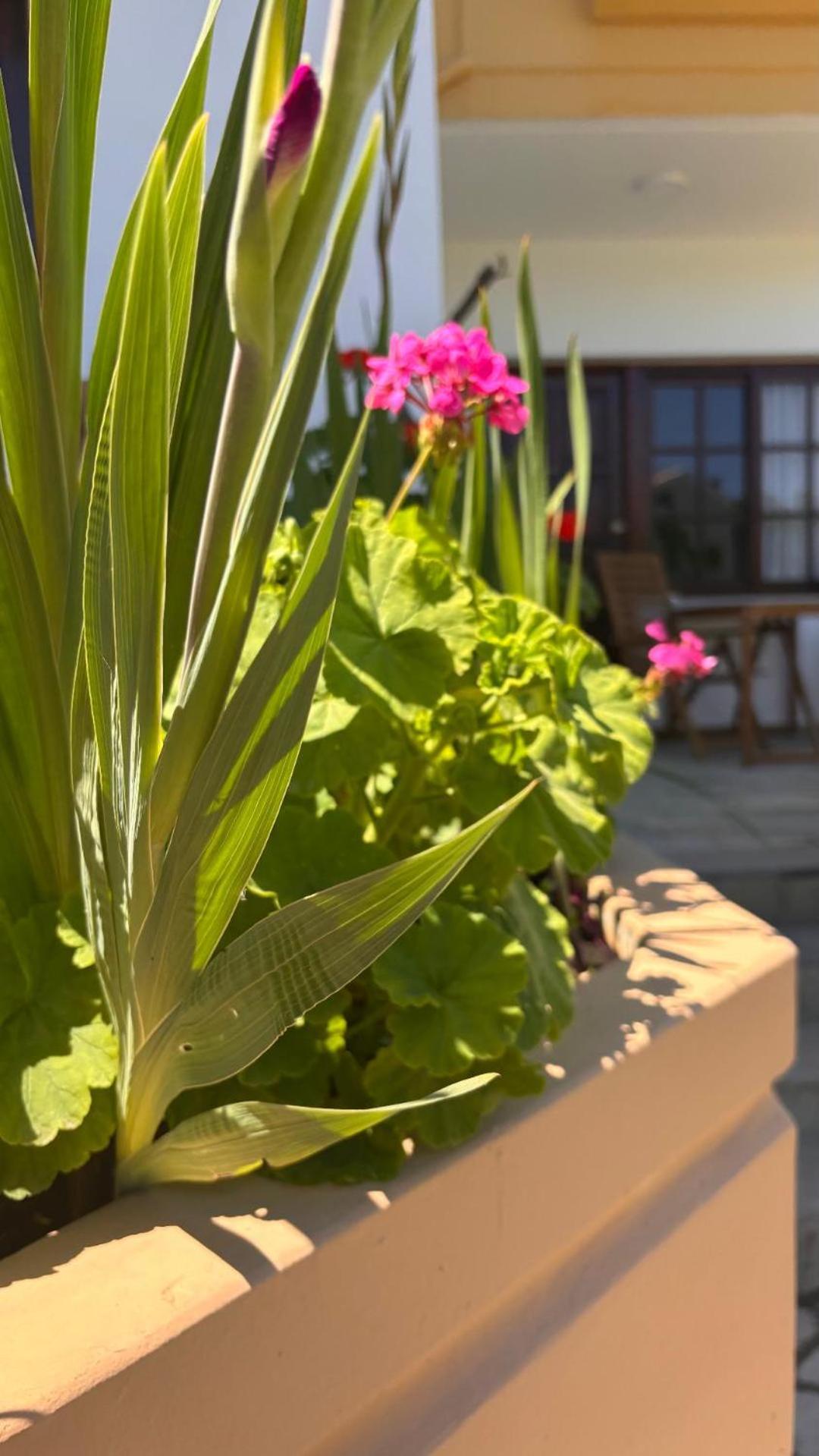 Menelaos Apartments Даратсо Экстерьер фото